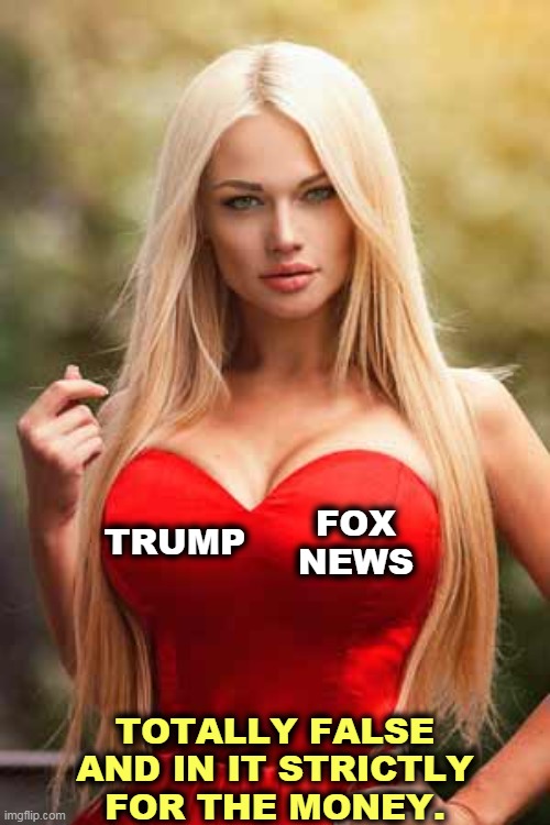 Do you know trouble when you see it? | FOX NEWS; TRUMP; TOTALLY FALSE AND IN IT STRICTLY FOR THE MONEY. | image tagged in donald trump,fox news,greedy,liars | made w/ Imgflip meme maker