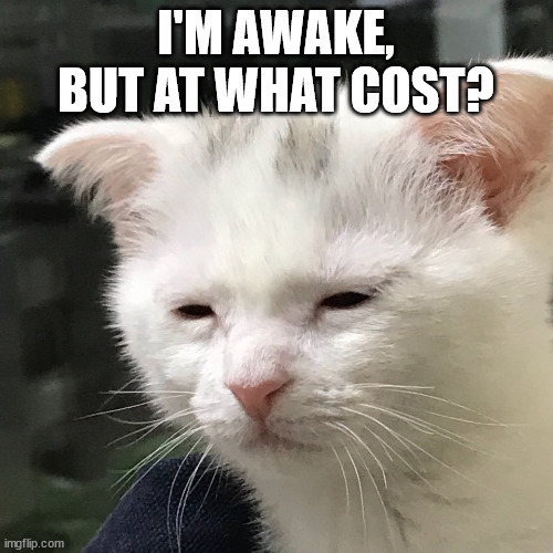 I'm awake, but at what cost? | I'M AWAKE, BUT AT WHAT COST? | image tagged in i'm awake but at what cost | made w/ Imgflip meme maker