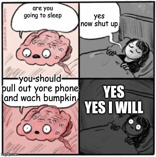 Brain Before Sleep | yes now shut up; are you going to sleep; you should pull out yore phone and wach bumpkin; YES YES I WILL | image tagged in brain before sleep | made w/ Imgflip meme maker