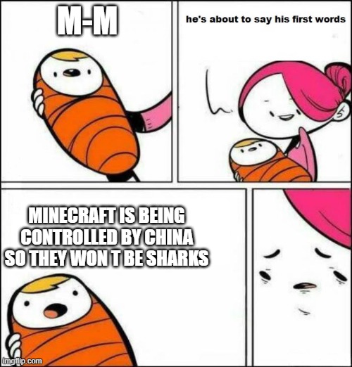Minecraft conpisracys be like | M-M; MINECRAFT IS BEING CONTROLLED BY CHINA SO THEY WON T BE SHARKS | image tagged in he is about to say his first words | made w/ Imgflip meme maker