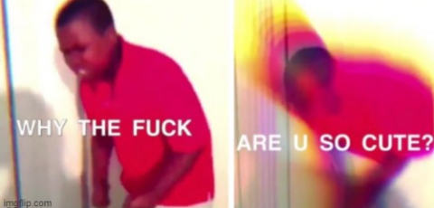 Why TF are you so coot Blank Meme Template