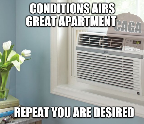 Repeat you are desired | CONDITIONS AIRS GREAT APARTMENT; REPEAT YOU ARE DESIRED | image tagged in air conditioner,repeat you are desired,conditions air,great apartment,caga,brown shift confirmed | made w/ Imgflip meme maker