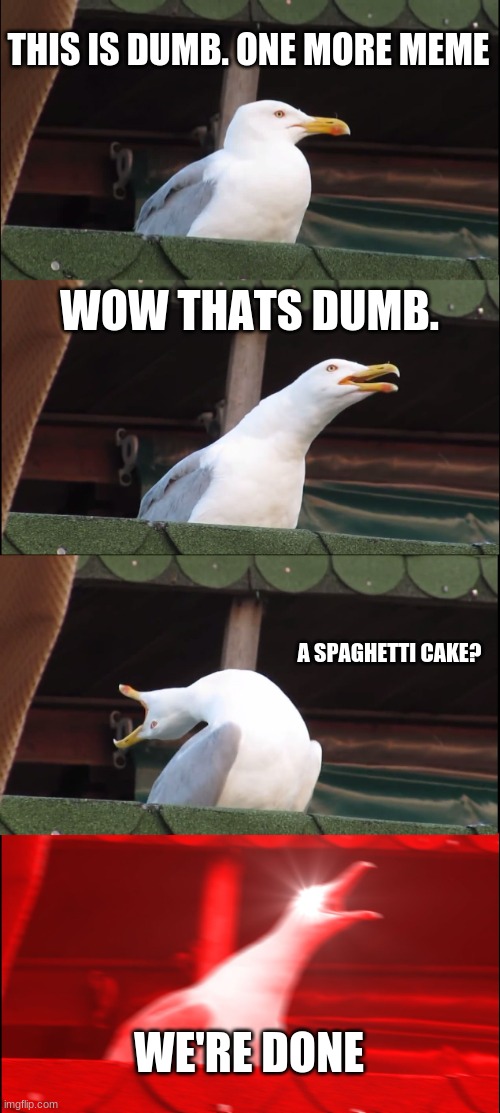 THIS IS DUMB. ONE MORE MEME WOW THATS DUMB. A SPAGHETTI CAKE? WE'RE DONE | image tagged in memes,inhaling seagull | made w/ Imgflip meme maker