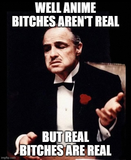 anime bitches | WELL ANIME BITCHES AREN'T REAL; BUT REAL BITCHES ARE REAL | image tagged in mafia don corleone | made w/ Imgflip meme maker