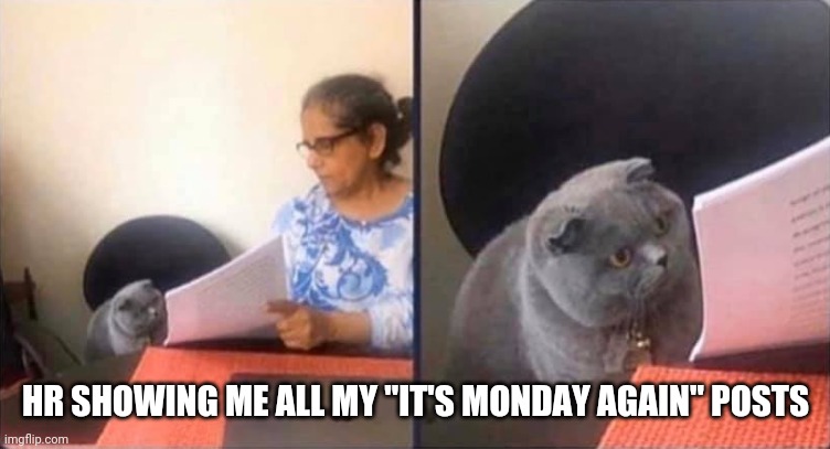 Monday | HR SHOWING ME ALL MY "IT'S MONDAY AGAIN" POSTS | image tagged in hr shows me | made w/ Imgflip meme maker