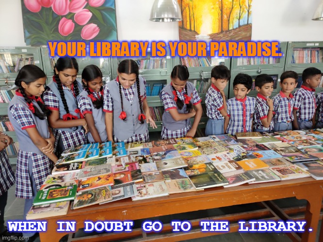 Library KV2 Bikaner | YOUR LIBRARY IS YOUR PARADISE. WHEN IN DOUBT GO TO THE LIBRARY. | image tagged in books | made w/ Imgflip meme maker