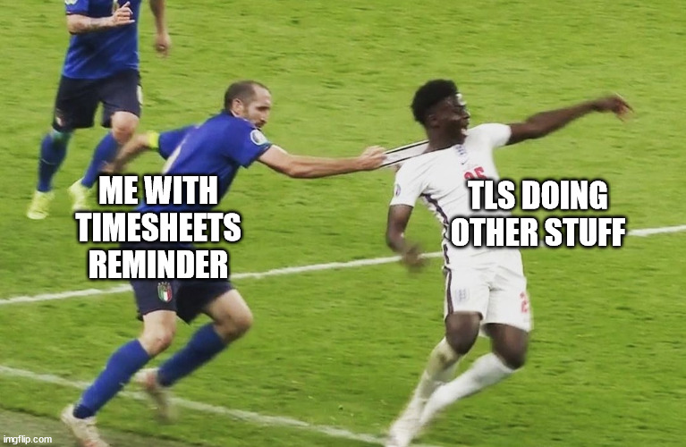 Timesheets reminder | ME WITH TIMESHEETS REMINDER; TLS DOING OTHER STUFF | image tagged in player grabs another player,timesheet reminder,timesheet meme,timesheet,reminder,euro 2020 | made w/ Imgflip meme maker