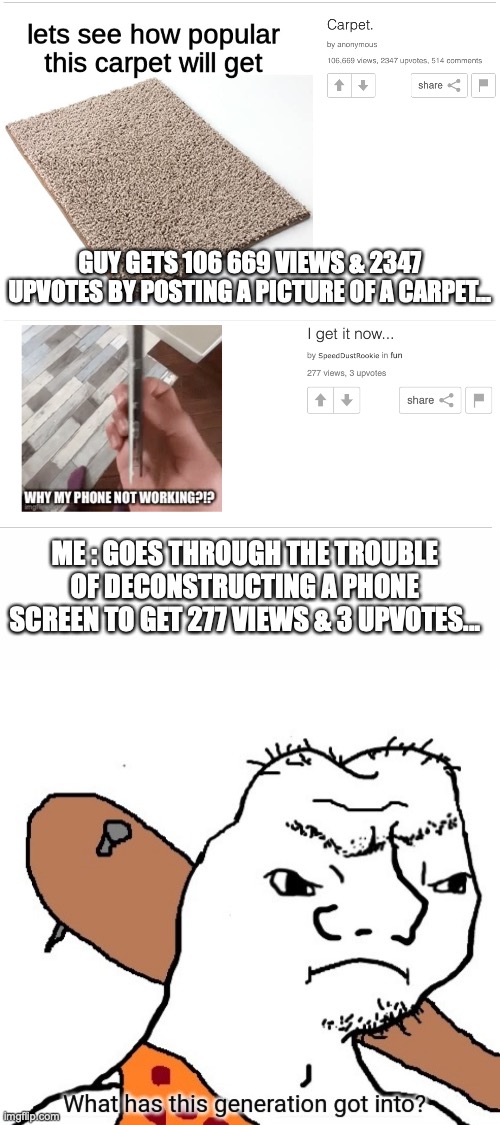 I guess people like carpets a lot... | GUY GETS 106 669 VIEWS & 2347 UPVOTES BY POSTING A PICTURE OF A CARPET... ME : GOES THROUGH THE TROUBLE OF DECONSTRUCTING A PHONE SCREEN TO GET 277 VIEWS & 3 UPVOTES... | image tagged in blank white template,what has this generation got into | made w/ Imgflip meme maker