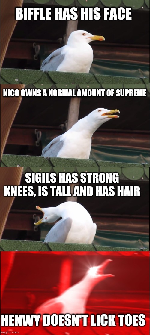 Imagine The Regulars Like This | BIFFLE HAS HIS FACE; NICO OWNS A NORMAL AMOUNT OF SUPREME; SIGILS HAS STRONG KNEES, IS TALL AND HAS HAIR; HENWY DOESN'T LICK TOES | image tagged in memes,inhaling seagull,the regulars | made w/ Imgflip meme maker
