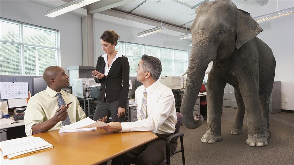 High Quality Elephant In The Room Blank Meme Template