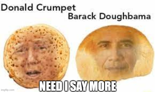 LOL | NEED I SAY MORE | image tagged in bread | made w/ Imgflip meme maker
