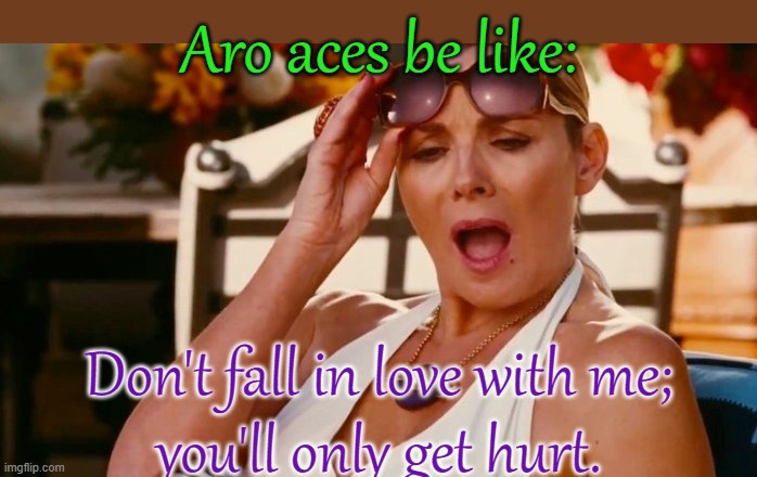 I didn't mean to turn you on. | Aro aces be like:; Don't fall in love with me;
you'll only get hurt. | image tagged in platonic flirt,aromantic,asexual,please stop | made w/ Imgflip meme maker