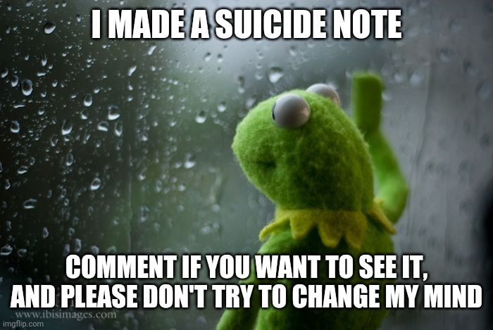 kermit window | I MADE A SUICIDE NOTE; COMMENT IF YOU WANT TO SEE IT, AND PLEASE DON'T TRY TO CHANGE MY MIND | image tagged in suicide | made w/ Imgflip meme maker