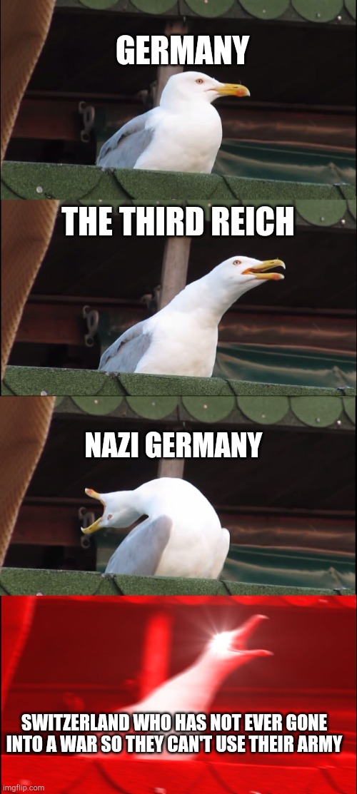 Inhaling Seagull | GERMANY; THE THIRD REICH; NAZI GERMANY; SWITZERLAND WHO HAS NOT EVER GONE INTO A WAR SO THEY CAN'T USE THEIR ARMY | image tagged in memes,inhaling seagull | made w/ Imgflip meme maker