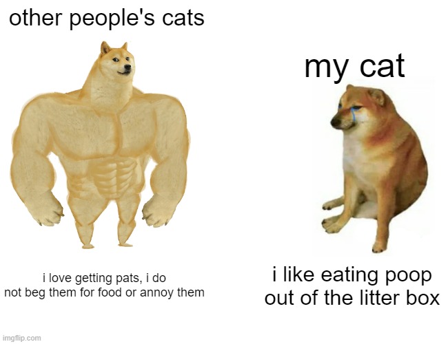 free indian olives | other people's cats; my cat; i love getting pats, i do not beg them for food or annoy them; i like eating poop out of the litter box | image tagged in memes,buff doge vs cheems | made w/ Imgflip meme maker