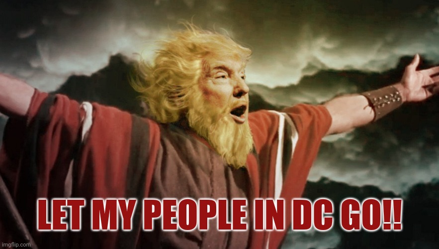 They're political prisoners. | LET MY PEOPLE IN DC GO!! | image tagged in memes | made w/ Imgflip meme maker