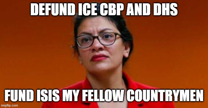 TLAIB | DEFUND ICE CBP AND DHS; FUND ISIS MY FELLOW COUNTRYMEN | image tagged in democrats | made w/ Imgflip meme maker