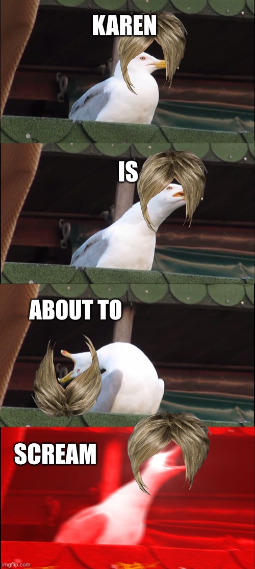 Inhaling Seagull | KAREN; IS; ABOUT TO; SCREAM | image tagged in memes,inhaling seagull | made w/ Imgflip meme maker