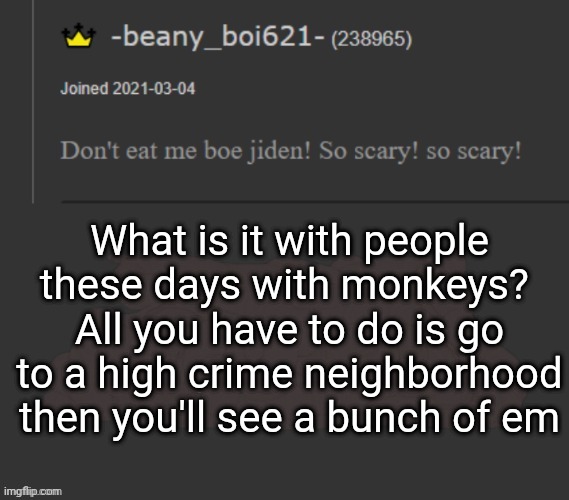 This is a joke, A funny one at that | What is it with people these days with monkeys? 
All you have to do is go to a high crime neighborhood then you'll see a bunch of em | image tagged in beany | made w/ Imgflip meme maker