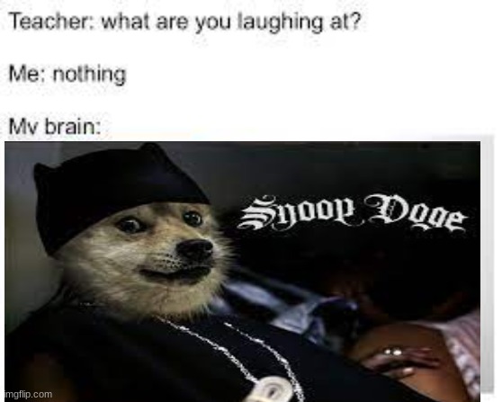 snoop doge | image tagged in snoop dogg,doge,funny meme,dogecoin | made w/ Imgflip meme maker