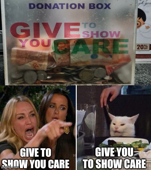 Angry lady cat | GIVE TO SHOW YOU CARE; GIVE YOU TO SHOW CARE | image tagged in angry lady cat | made w/ Imgflip meme maker