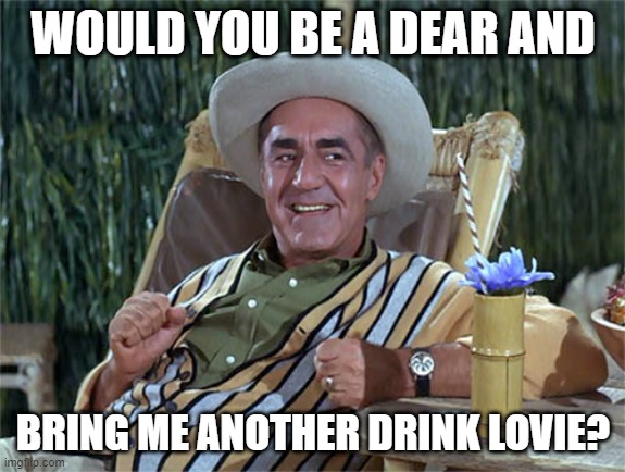 Just hangin' out like..... | WOULD YOU BE A DEAR AND; BRING ME ANOTHER DRINK LOVIE? | image tagged in memes | made w/ Imgflip meme maker
