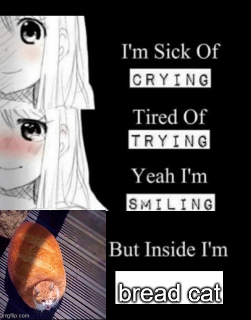 I'm Sick Of Crying | bread cat | image tagged in i'm sick of crying | made w/ Imgflip meme maker