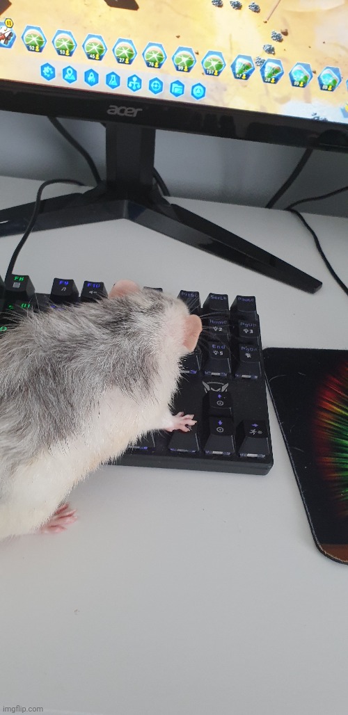 He do be gaming tho | made w/ Imgflip meme maker