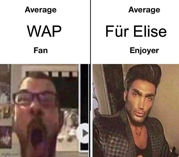 Music meme | Für Elise; WAP | image tagged in average fan vs average enjoyer,cardi b,wap,beethoven,ludwig van beethoven,memes | made w/ Imgflip meme maker