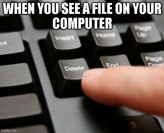 files | WHEN YOU SEE A FILE ON YOUR
COMPUTER | image tagged in delete | made w/ Imgflip meme maker