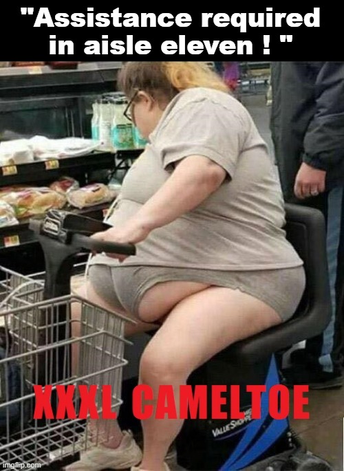 "Assistance required ! | "Assistance required
in aisle eleven ! " | image tagged in camel toe | made w/ Imgflip meme maker