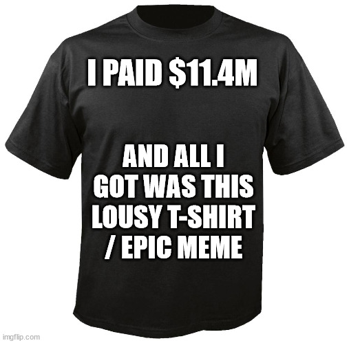 Blank T-Shirt | I PAID $11.4M; AND ALL I GOT WAS THIS LOUSY T-SHIRT / EPIC MEME | image tagged in blank t-shirt | made w/ Imgflip meme maker