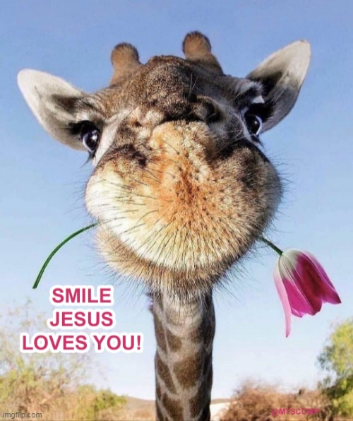 Smile | image tagged in smile jesus loves you,giraffe,jesus | made w/ Imgflip meme maker