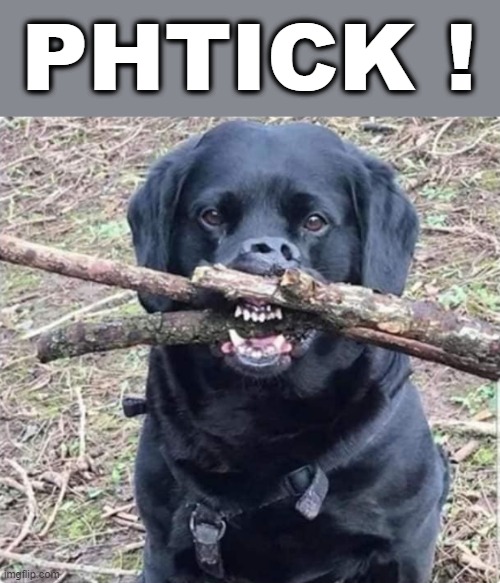 PHTICK ! | PHTICK ! | image tagged in fetch | made w/ Imgflip meme maker