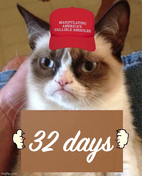 32 days until the libtrads are destoryed 4eva! | 32 days | image tagged in grumpy cat cardboard sign,trump inauguration,libtards,destroyed,libtrads,destoryed | made w/ Imgflip meme maker