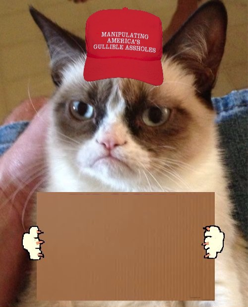 High Quality MAGA grumpy cat cardboard sign Blank Meme Template