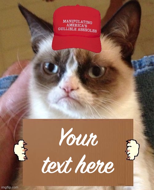 MAGA grumpy cat cardboard sign | Your text here | image tagged in maga grumpy cat cardboard sign | made w/ Imgflip meme maker