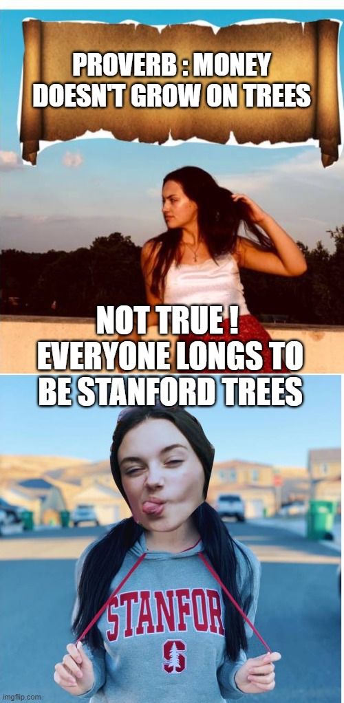 money doesn't grow on trees | PROVERB : MONEY DOESN'T GROW ON TREES; NOT TRUE !  EVERYONE LONGS TO BE STANFORD TREES | image tagged in anna soooo smart | made w/ Imgflip meme maker