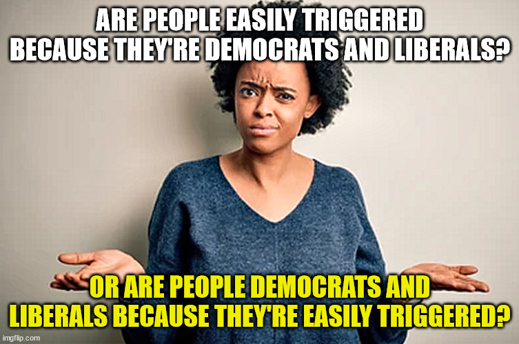 One of Life's Eternal Unanswered Questions . . . | ARE PEOPLE EASILY TRIGGERED BECAUSE THEY'RE DEMOCRATS AND LIBERALS? OR ARE PEOPLE DEMOCRATS AND LIBERALS BECAUSE THEY'RE EASILY TRIGGERED? | image tagged in democrats,liberals,people,acute strangeness,black woman shrugging,why | made w/ Imgflip meme maker