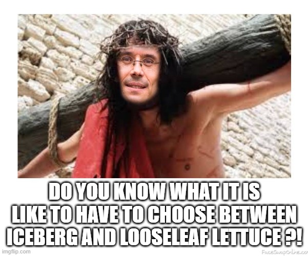 First World Burden |  DO YOU KNOW WHAT IT IS LIKE TO HAVE TO CHOOSE BETWEEN ICEBERG AND LOOSELEAF LETTUCE ?! | image tagged in self aggrandizing adult | made w/ Imgflip meme maker
