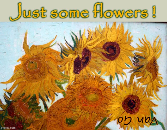 Van Go | Just some flowers ! Van Go | image tagged in flowers | made w/ Imgflip meme maker