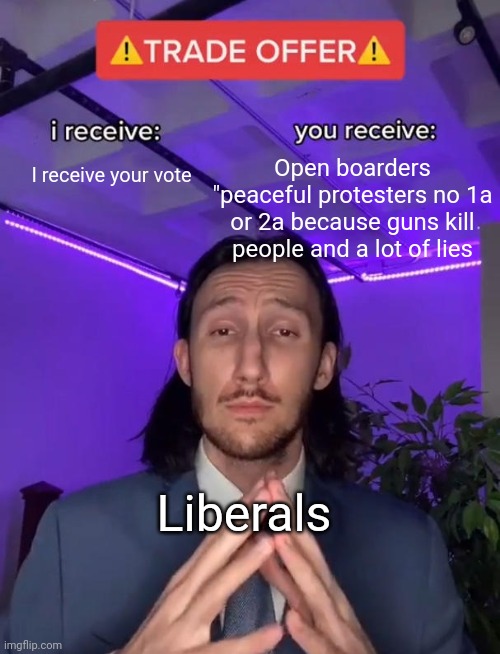 VOTE BLUE NO MATTER WHO :D))) | Open boarders "peaceful protesters no 1a or 2a because guns kill people and a lot of lies; I receive your vote; Liberals | image tagged in trade offer | made w/ Imgflip meme maker
