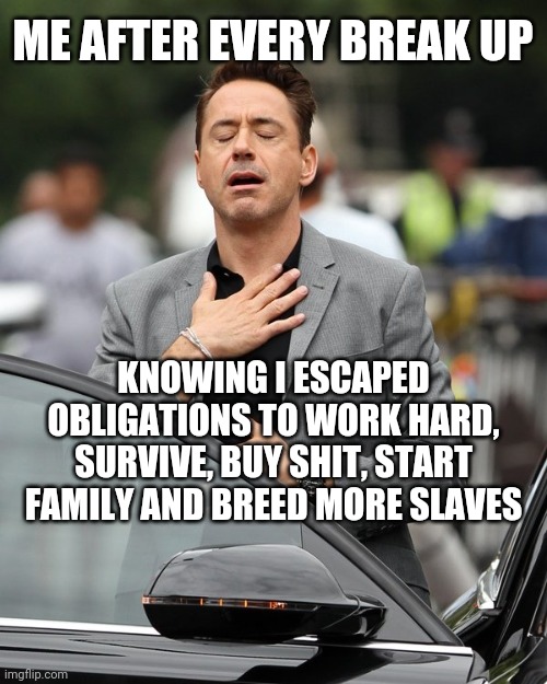 Break ups. Stop buying shit. Stop breeding slaves | ME AFTER EVERY BREAK UP; KNOWING I ESCAPED OBLIGATIONS TO WORK HARD, SURVIVE, BUY SHIT, START FAMILY AND BREED MORE SLAVES | image tagged in relief | made w/ Imgflip meme maker