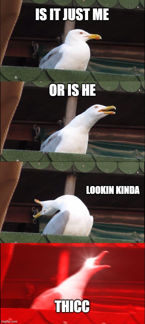 Inhaling Seagull Meme | IS IT JUST ME; OR IS HE; LOOKIN KINDA; THICC | image tagged in memes,inhaling seagull | made w/ Imgflip meme maker