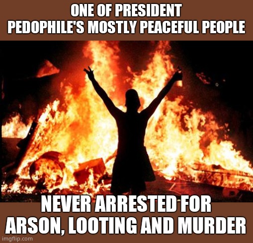 riot_image | ONE OF PRESIDENT PEDOPHILE'S MOSTLY PEACEFUL PEOPLE NEVER ARRESTED FOR ARSON, LOOTING AND MURDER | image tagged in riot_image | made w/ Imgflip meme maker