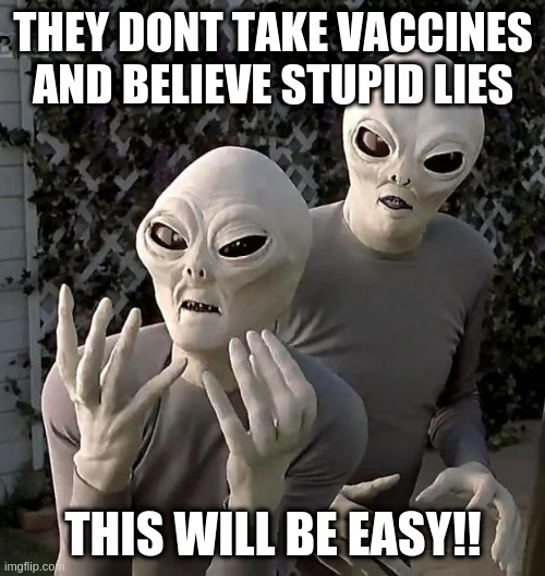 aliens planning their invasion |  THEY DONT TAKE VACCINES AND BELIEVE STUPID LIES; THIS WILL BE EASY!! | image tagged in aliens | made w/ Imgflip meme maker