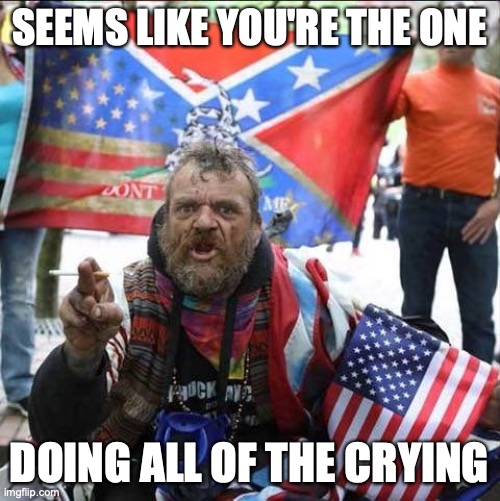 conservative alt right tardo | SEEMS LIKE YOU'RE THE ONE DOING ALL OF THE CRYING | image tagged in conservative alt right tardo | made w/ Imgflip meme maker