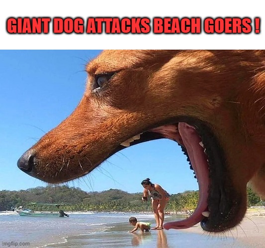 Giant dog attacks! | GIANT DOG ATTACKS BEACH GOERS ! | image tagged in giant,dog | made w/ Imgflip meme maker