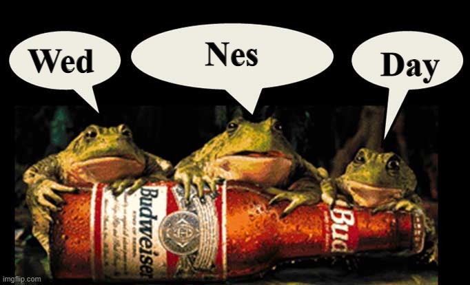 Wed Nes Day | Nes; Day; Wed | image tagged in wednesday,frogs | made w/ Imgflip meme maker