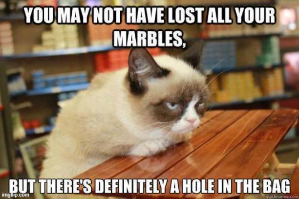 I may be gone, you idiots, but I'm far from forgotten | image tagged in vince vance,tardar sauce,grumpy cat memes,marbles,lost,grumpy cat insults | made w/ Imgflip meme maker